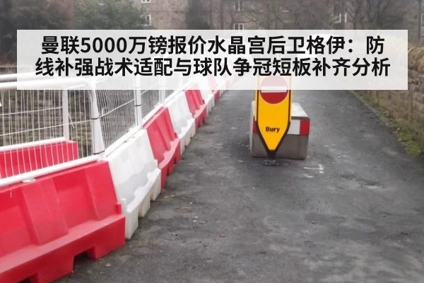 曼联5000万镑报价水晶宫后卫格伊：防线补强战术适配与球队争冠短板补齐分析 | jiuyou