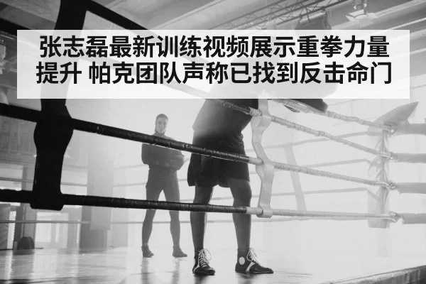 张志磊最新训练视频展示重拳力量提升 帕克团队声称已找到反击命门